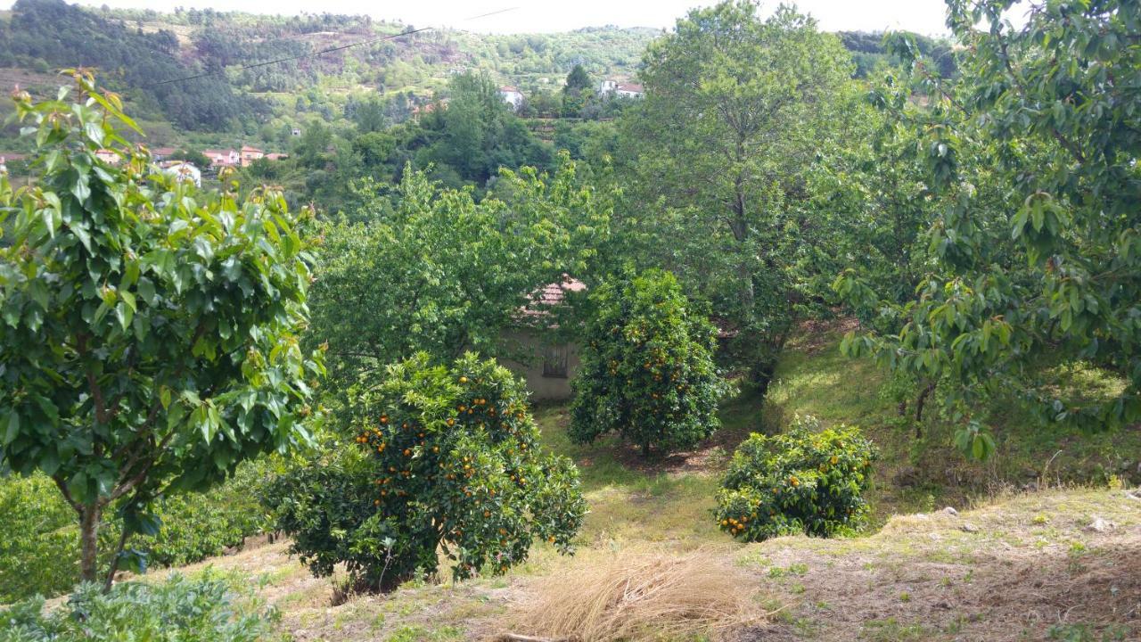 Casa Da Eira - Castanheiras Country house *