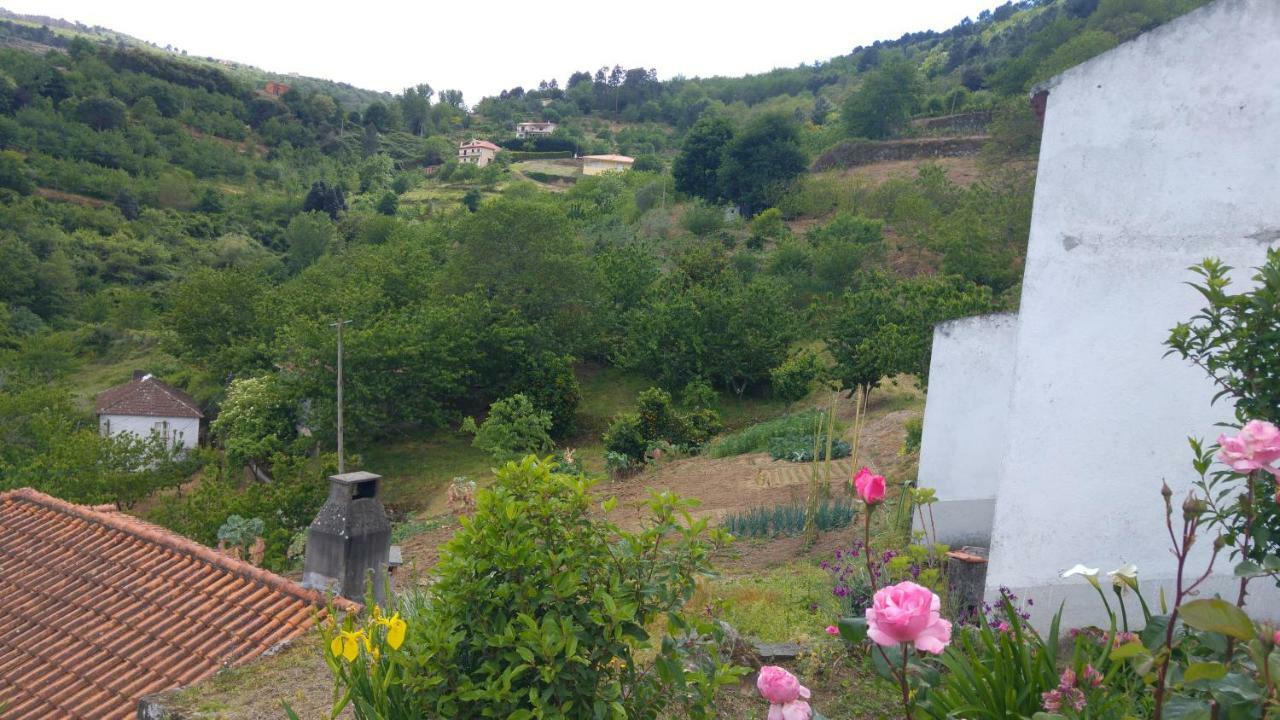 Casa Da Eira - Castanheiras Country house *
